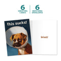 Load image into Gallery viewer, The cover and inside of Tree-Free’s Cone of Shame card, along with the following text: “6 greeting cards, 6 matching envelopes”
