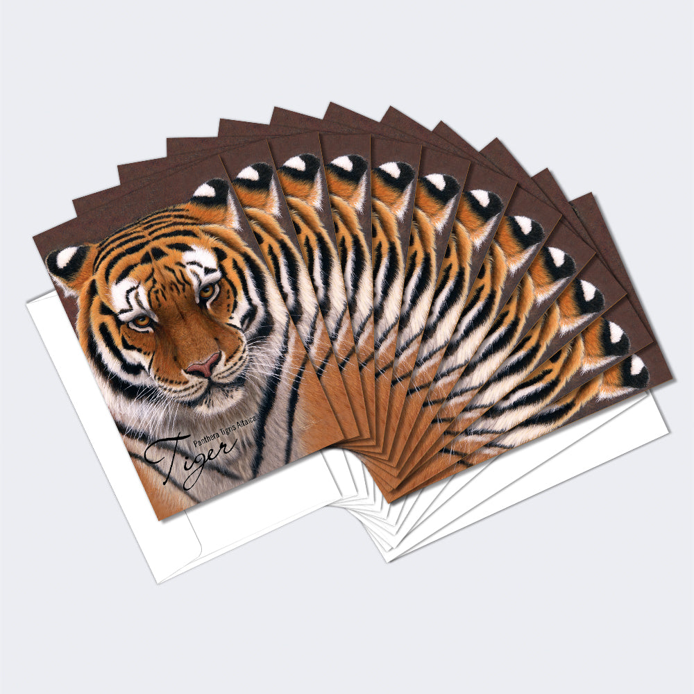 Siberian Tiger Boxed 12 Pack Notecards