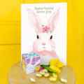 Load image into Gallery viewer, Pink Bunny 2 Pack
