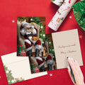 Load image into Gallery viewer, Cat Nap Santa Christmas 12 Pack
