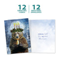 Load image into Gallery viewer, Bear Light Solstice 12 Pack
