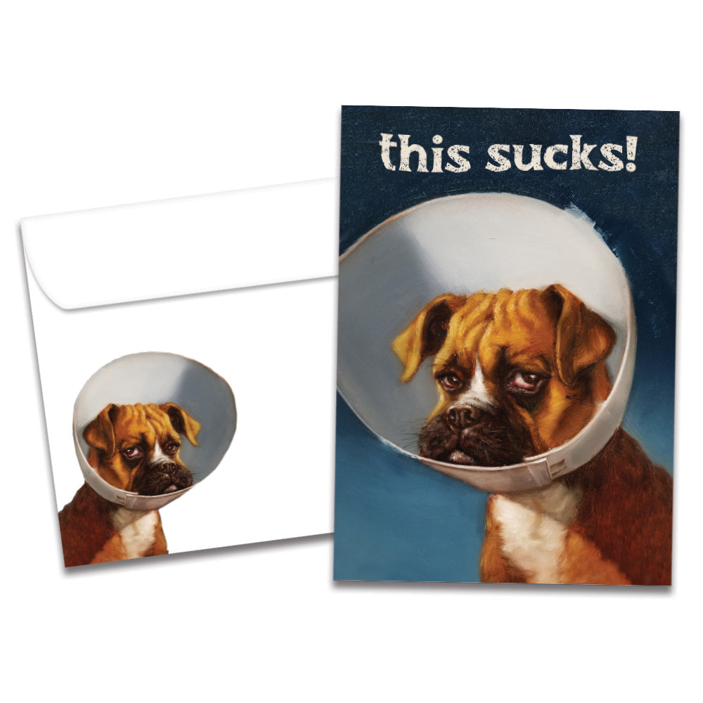 The cover of Tree-Free's Cone of Shame card, along with its matching envelope.