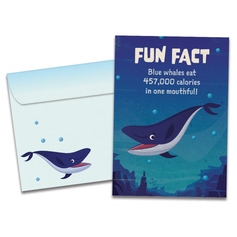 Whale Fun Fact