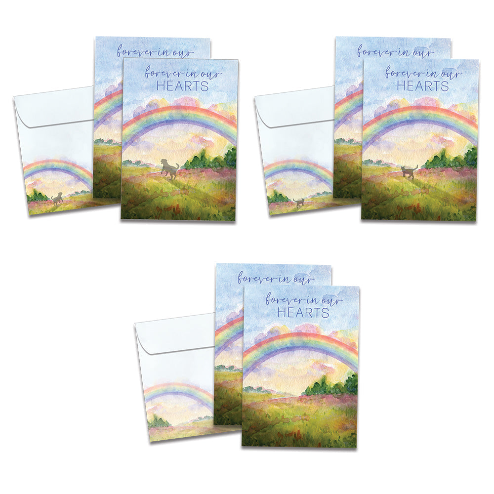 Rainbow Mix Pet Sympathy 8 Pack