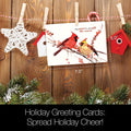 Load image into Gallery viewer, Peace Birds Holiday 12 Pack
